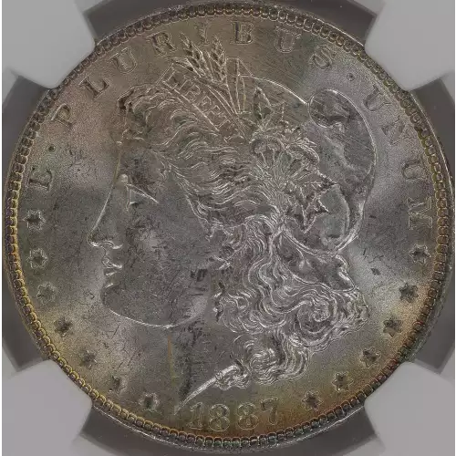 Morgan Silver Dollar