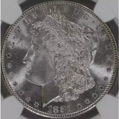 Morgan Silver Dollar (4)