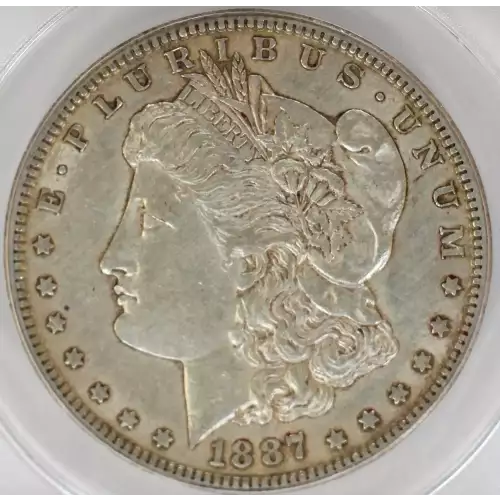 Morgan Silver Dollar