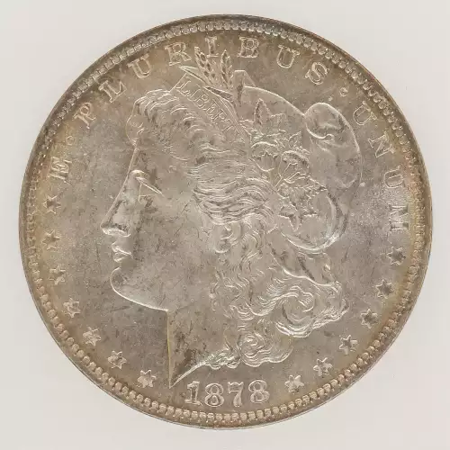 Morgan Silver Dollar