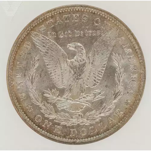 Morgan Silver Dollar