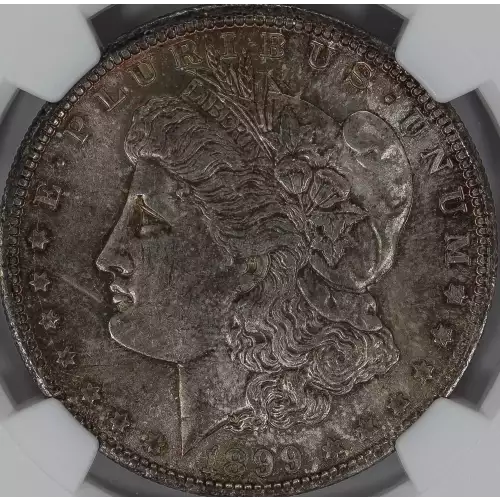 Morgan Silver Dollar