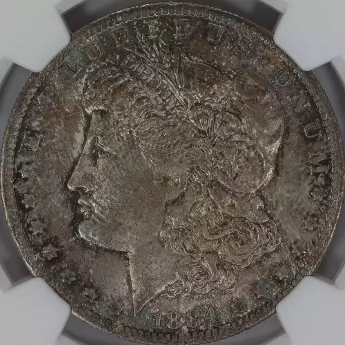 Morgan Silver Dollar