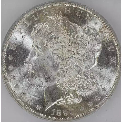 Morgan Silver Dollar