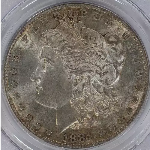 Morgan Silver Dollar