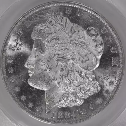 Morgan Silver Dollar