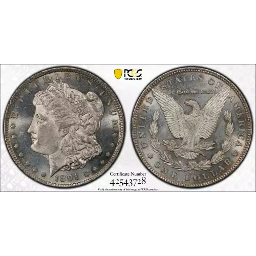 Morgan Silver Dollar