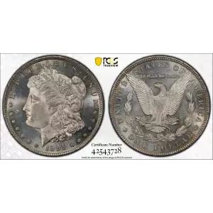 Morgan Silver Dollar