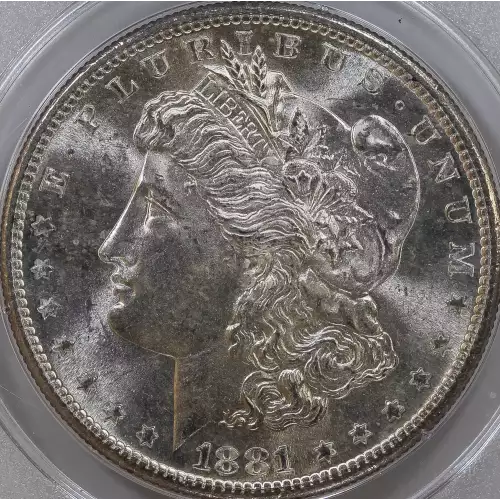 Morgan Silver Dollar (4)