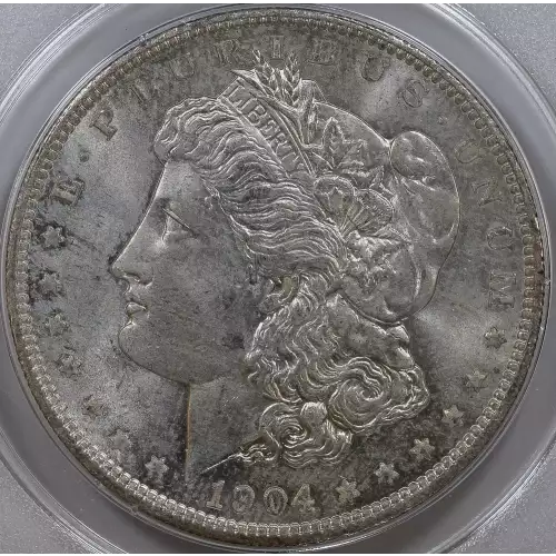 Morgan Silver Dollar (2)