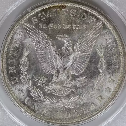 Morgan Silver Dollar (4)