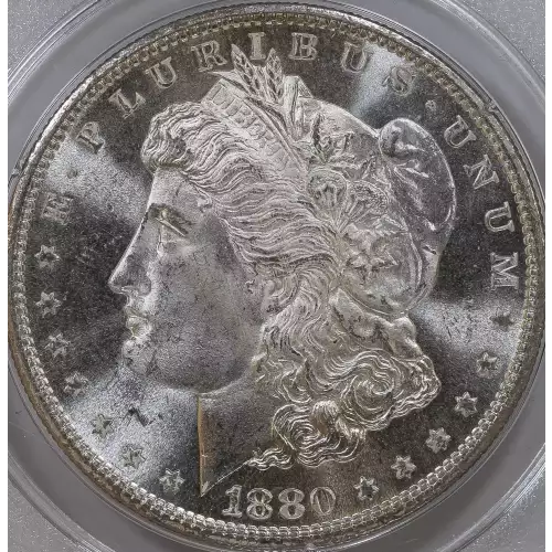 Morgan Silver Dollar (2)