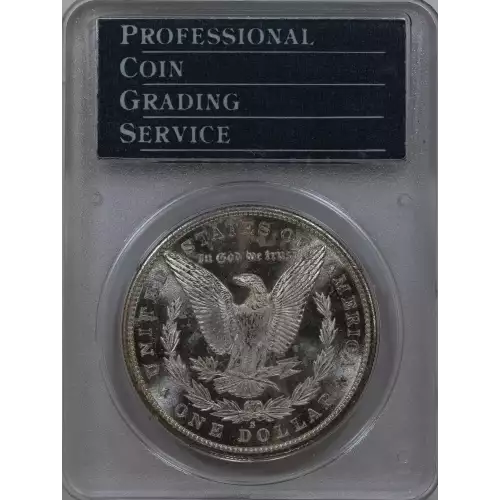 Morgan Silver Dollar (2)