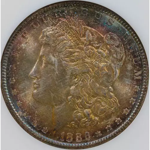 Morgan Silver Dollar (2)