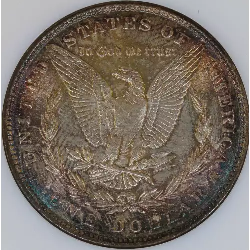 Morgan Silver Dollar (4)