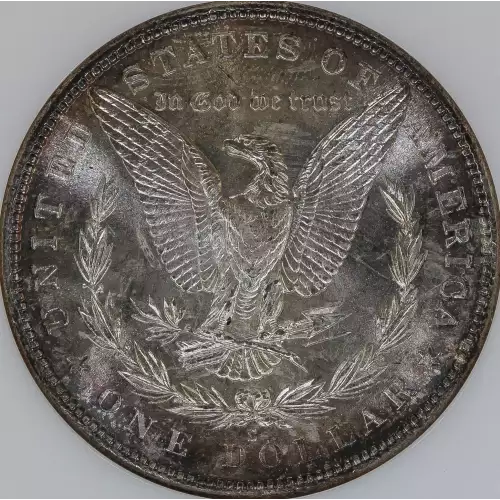 Morgan Silver Dollar (4)