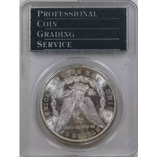 Morgan Silver Dollar (2)