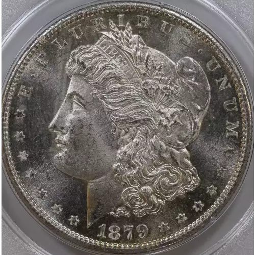 Morgan Silver Dollar (2)