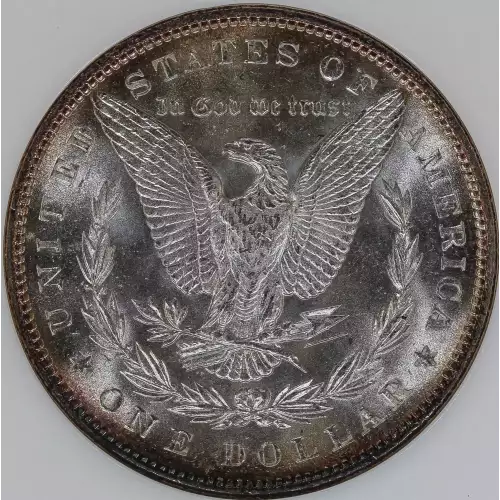 Morgan Silver Dollar (4)