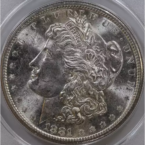 Morgan Silver Dollar (2)