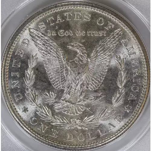 Morgan Silver Dollar (4)