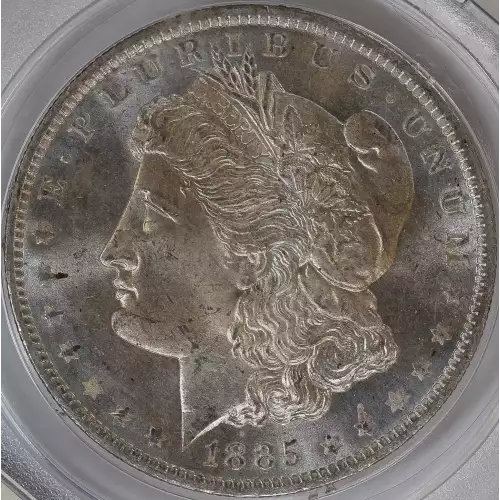 Morgan Silver Dollar (2)