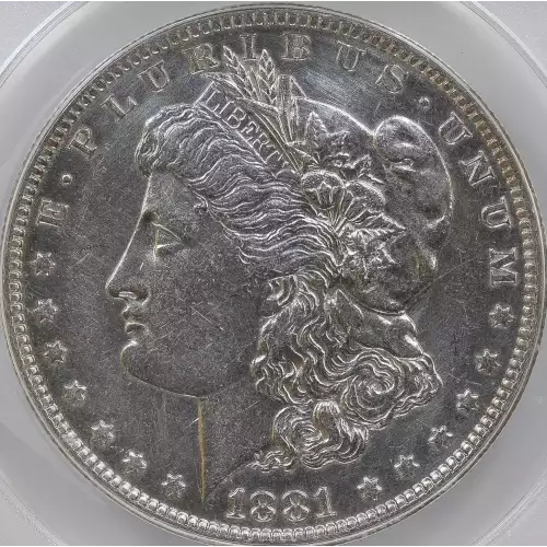 Morgan Silver Dollar (2)