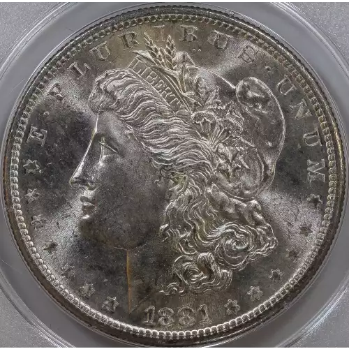 Morgan Silver Dollar (2)