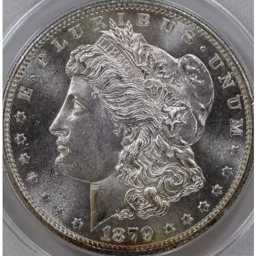 Morgan Silver Dollar (2)