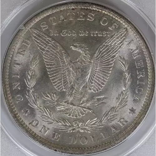 Morgan Silver Dollar (4)