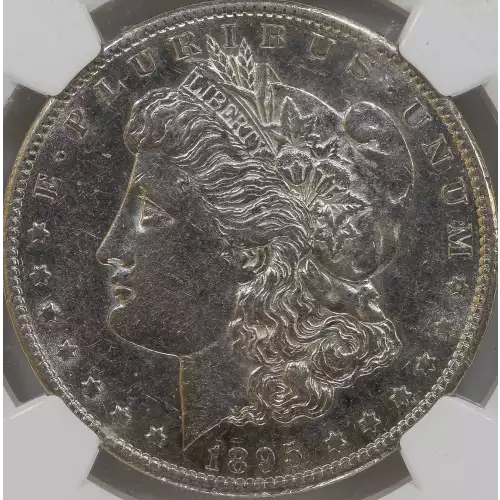 Morgan Silver Dollar (2)