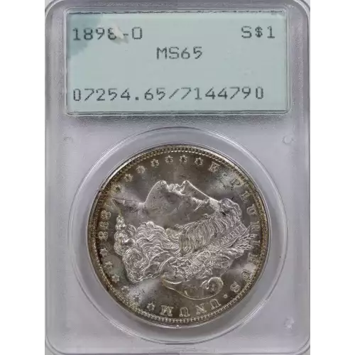 Morgan Silver Dollar (2)