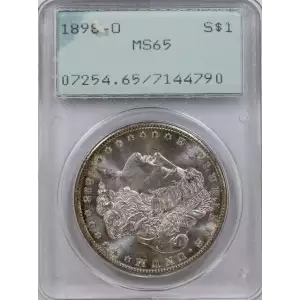 Morgan Silver Dollar (2)