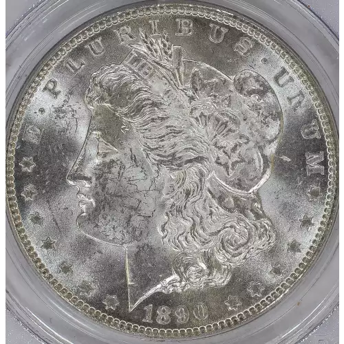 Morgan Silver Dollar