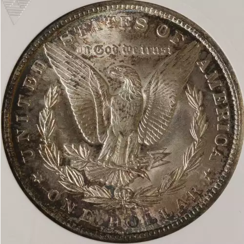 Morgan Silver Dollar (4)