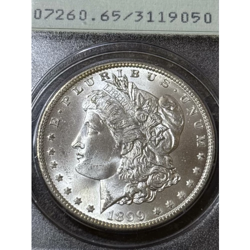 Morgan Silver Dollar (3)