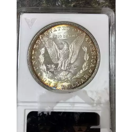 Morgan Silver Dollar