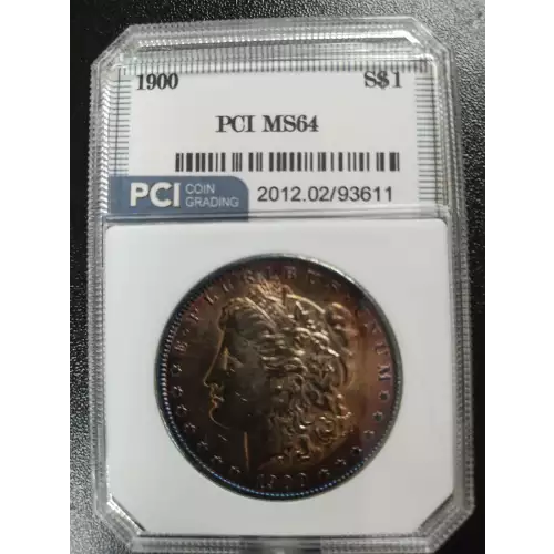 Morgan Silver Dollar (2)