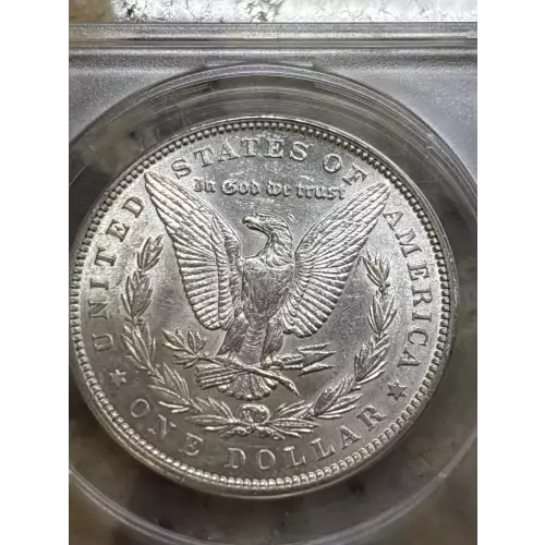 Morgan Silver Dollar