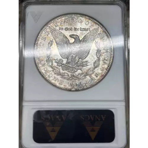Morgan Silver Dollar (2)