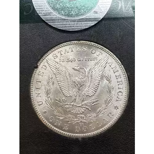 Morgan Silver Dollar