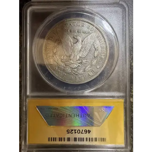 Morgan Silver Dollar (2)