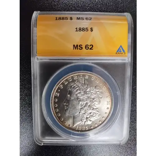 Morgan Silver Dollar (2)