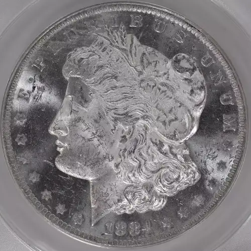 Morgan Silver Dollar