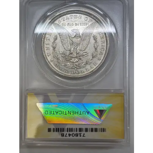 Morgan Silver Dollar (2)