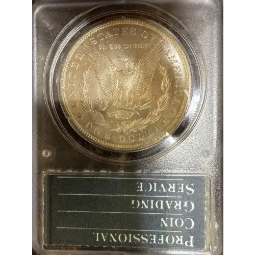 Morgan Silver Dollar (2)