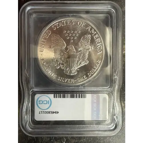 Morgan Silver Dollar (2)
