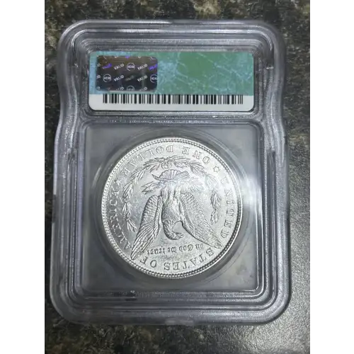Morgan Silver Dollar (2)