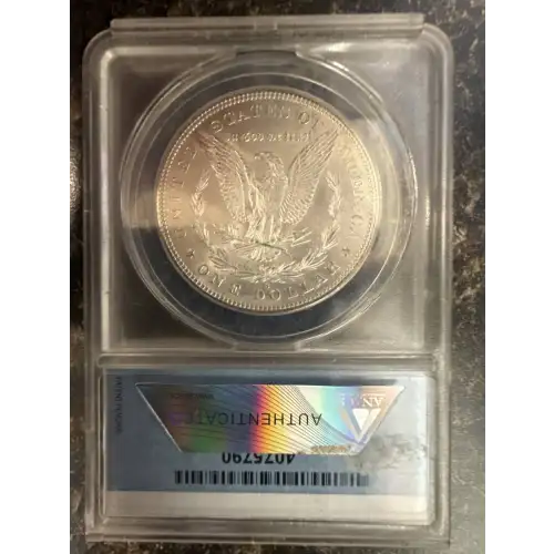 Morgan Silver Dollar (2)