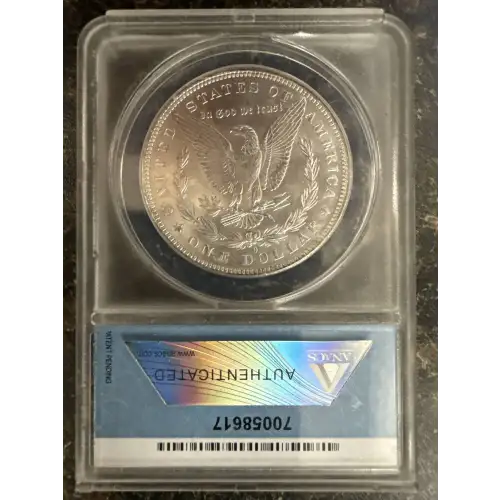 Morgan Silver Dollar (2)